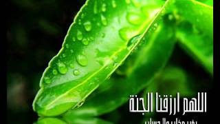 قلي هل  المنشد جهاد اليافعي رائع جدا [upl. by Hubey93]