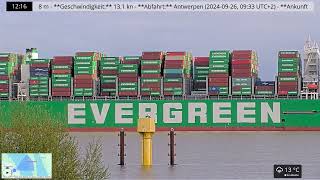 EVER GIFTED Reise von Antwerpen nach Hamburg 28092024 auf der Elbe [upl. by Atekal]