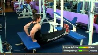 Top 5 des exercices de triceps muscler les triceps par allmusculation [upl. by Eirod]