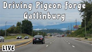 Driving Pigeon Forge Gatlinburg 2024 LIVE [upl. by Tova]