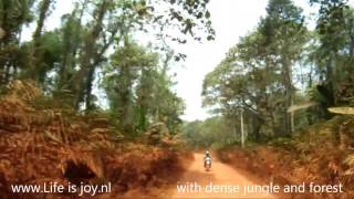 Dirtroad in Cardamom Mountains on Honda dirtbikes through Cambodia roadtrip on motorbike motorcycle [upl. by Aiciram663]