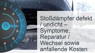 Stoßdämpfer defekt  undicht  Kosten » Symptome » Reparatur [upl. by Cavanaugh]