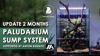 83  UPDATE 2 BULAN PALUDARIUM [upl. by Joselyn738]