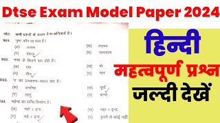 Dtse exam model paper 202324  Hindi Most important Question for dtse Exam  Dtse Exam Paper 2024 [upl. by Nyrmac]