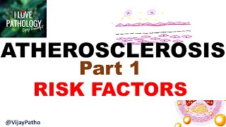 ATHEROSCLEROSIS part 1 Definition epidemiology amp Risk factors [upl. by Dianuj]