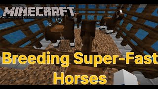 Minecraft Breeding SuperFast Horses [upl. by Adamok112]