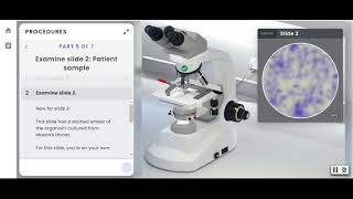 Pearson Interactive Labs  Microscopy for Microbiology [upl. by Eerised208]