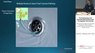 Dr Andrew J Maxwell MD FACC  The Embryology Potential Mechanisms that Tie Together The Pentad [upl. by Hays]