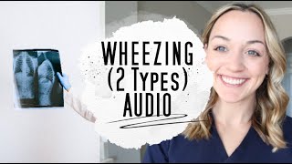 WHEEZING LUNG SOUNDS  AUDIO [upl. by Bakemeier]