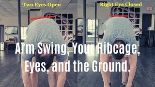 Why The Ground is Necessary for Arm Swing During Gait and PRI Exercises [upl. by Negam]