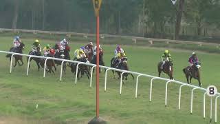 THE FLYING FEET with Afsar Khan up wins The Skyline Plate Div1 2024 [upl. by Jak659]