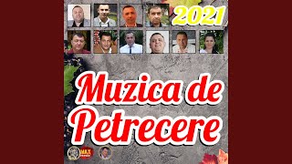 Muzica De Petrecere Botez Si Nunta [upl. by Hgeilyak]