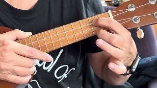 Ukulele Fun Week 1 C and G chords [upl. by Akimahc]