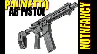 BUNKER REVIEW Palmetto Armory PA15 10quot Pistol [upl. by Gilmore]