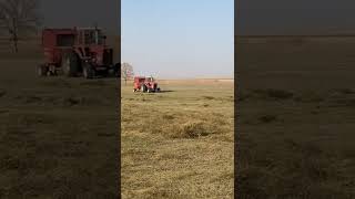 Allis Chalmers 7040 Baling with a New Holland 688 [upl. by Nareht]