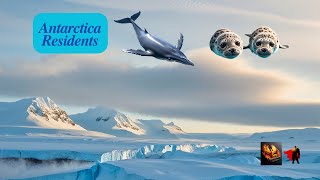 The Real Difference Between Antarctica Residents and Tourists [upl. by Evanthe]