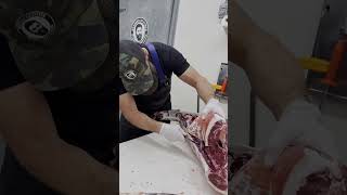 Removing the Deer Backstrap 🔪🦌 Full YouTube video coming soon shorts deer venison backstrap [upl. by Enayr]