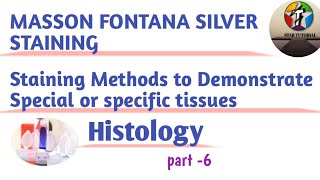 Masson Fontana Silver Staining ll Methods of Staining of special tissues ll Histology [upl. by Aramenta343]