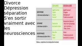 séparation  sortir de la déprime sérotonine la solution  14 [upl. by Aleuqahs]