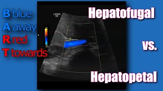 Hepatopetal vs Hepatofugal [upl. by Lan]