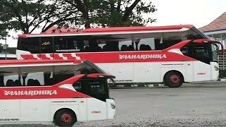 CALON BUS RAKSASA NIH MAHARDHIKA WONOGIRI ASLI [upl. by Haelhsa]