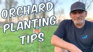 Planting an Orchard in HEAVY Clay Soil and How to Amend Clay Soil [upl. by Solberg208]