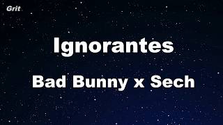 Karaoke♬ Ignorantes  Bad Bunny x Sech 【No Guide Melody】 Instrumental [upl. by Dulcia]