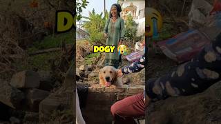 Cute Adventure 🥺 Dogvlog shorts vlog vlogger [upl. by Enom]