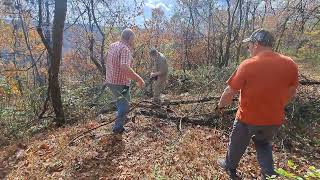 2024 Tree clearing at Foresters cabin [upl. by Almond]