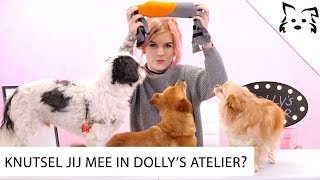 DIY hondenspeeltje  Totale CHAOS en DOLLY wordt helemaal GEK  Fikkie TV [upl. by Nolat]