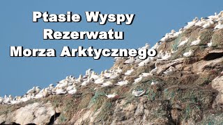 2024 4K Ptasie Wyspy Morza Arktycznego [upl. by Niai]