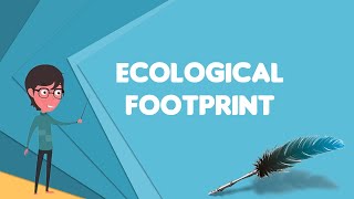 What is Ecological footprint Explain Ecological footprint Define Ecological footprint [upl. by Prosper617]