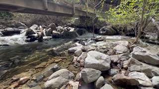 Hiking Okanagan Mountain Park in Kelowna [upl. by Aneeram]