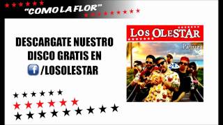 Los Olestar  Como la flor Selena [upl. by Lorne]