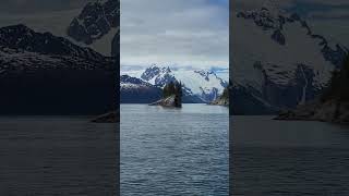 Some glaciers in Alaska mountains naturelovers travel glacier wildlife nature naturelovers i [upl. by Noirod]