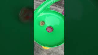 Marble Run ASMR 🥔🥔 Satisfying asmr shorts satisfying 0661 [upl. by Aicineohp]