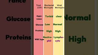 Difference between Bacterial and viral meningitis HOLOGY [upl. by Ghiselin989]