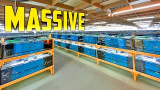 Most Amazing African Cichlid Facility in the World [upl. by Miof Mela]