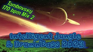 Intelligent Jungle amp DrumnBass 2023 Tambovsky 170 bpm Mix 2 [upl. by Hutchings]