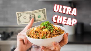 1 Dollar Fried Rice  But Cheaper [upl. by Joleen]