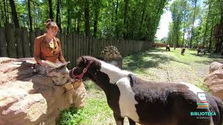 Cała Polska Czyta Dzieciom  Amerykański Park Rozrywki Twinpigs [upl. by Gunas734]