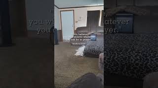 Bible verse with shylo dogsofyoutube dogsyourfriendsforever puppy bibleverses biblepassages [upl. by Dudden]