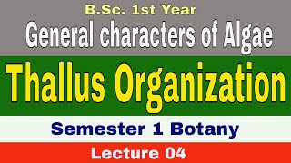 Algae  Thallus Organisation  General characters of algae BSc1st Year Sem 1 SGBAU [upl. by Kaazi]