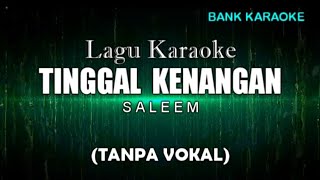 TINGGAL KENANGAN  SALEEM KARAOKE TANPA VOKAL [upl. by Weyermann]