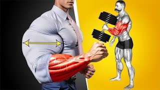 10 PERFECT EXERCISES FOREARM WORKOUT  6 Best Exercises to Grow Massive Forearms [upl. by Bassett891]