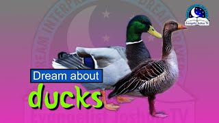 DUCK IN DREAM  Evangelist Joshua Dream Dictionary [upl. by Icyak]