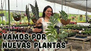 Cómo elegir las mejores plantas del vivero para que duren más en casa │Candy Bu [upl. by Aikyn]