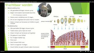 VWO 3 Thema 4 Voortplanting en Seksualiteit Basisstof 3 Vruchtbaar worden Deel 2 [upl. by Mohun]