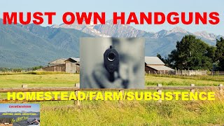 MUST OWN HANDGUNS for HomesteadFarmSubsistence [upl. by Yrelbmik]