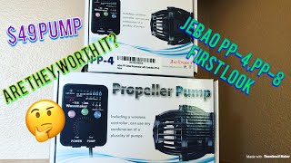 JEBAO PP4 amp PP8 Quick Look [upl. by Elyag]